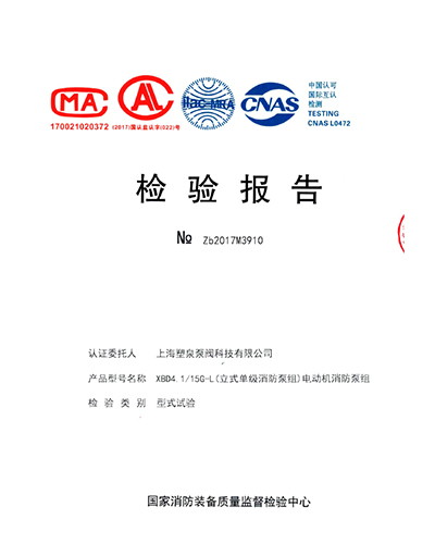 檢驗(yàn)報告